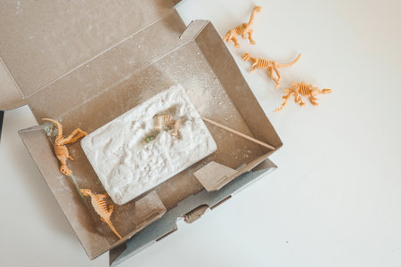 An interesting activity for children: excavating dinosaurs,.の写真素材