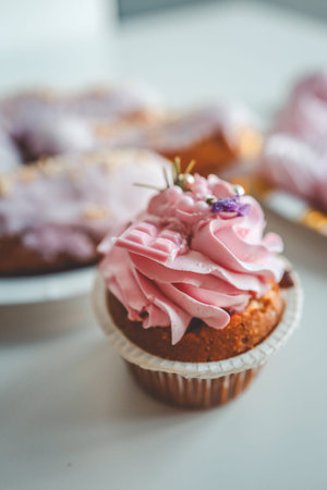 Vanilla cupcakes with cream cheese frosting and pink sprinkles on pink background. Dessert.