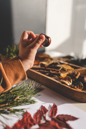 Children's creative activities, autumn idea.の写真素材