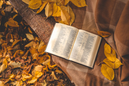 Open Bible on a blanket, autumn.