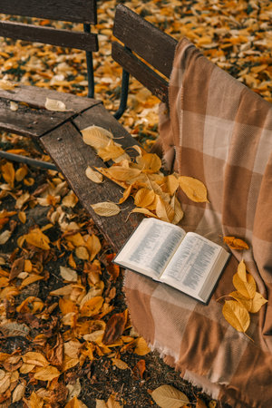 Open book on a blanket, autumn.