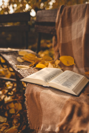 Open book on a blanket, autumn.の写真素材