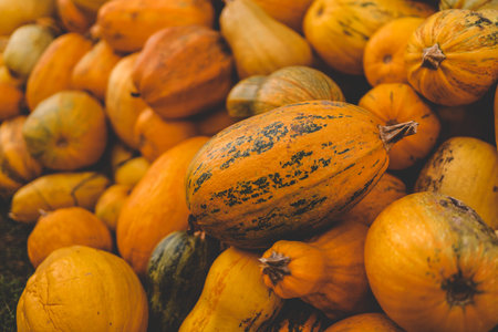 Pumpkin closeup background, harvest.