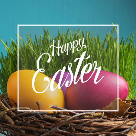 colored Easter eggs in the nestの写真素材