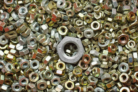 Different size screw nuts