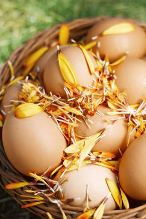 Beautiful easter eggs in brown basket with copy spaceの写真素材
