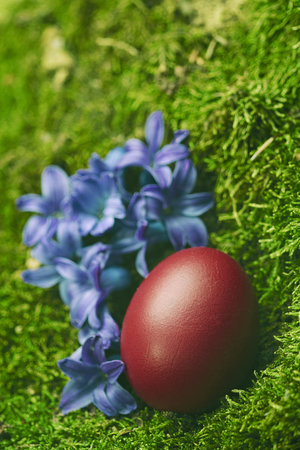 Beautiful Easter egg on green background decorated with flowers