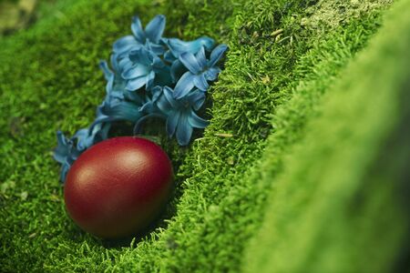 Beautiful Easter egg on green background decorated with flowersの写真素材