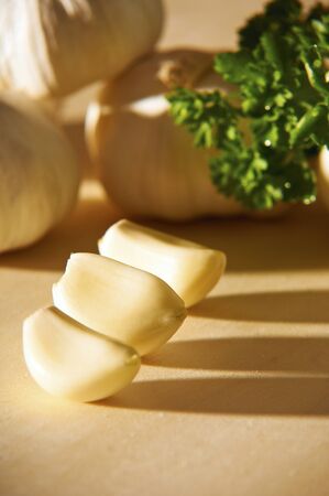Fresh garlic vegetable with parsley leavesの写真素材