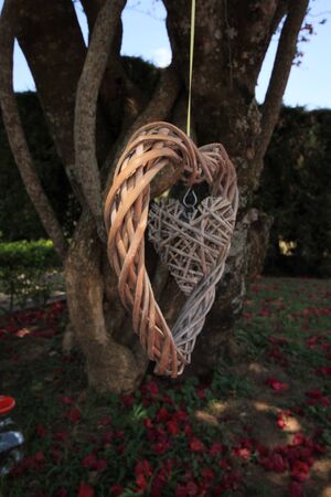 wooden heartの写真素材
