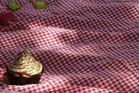 Picnic on the backyardの写真素材