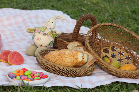 Picnic on the backyardの写真素材