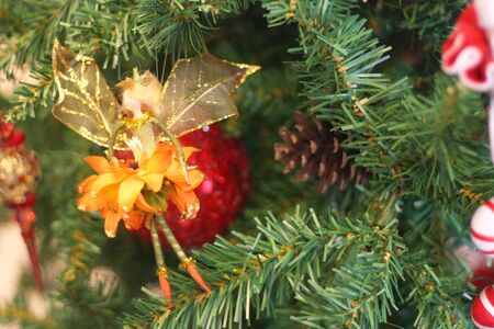 christmas tree decorationの写真素材
