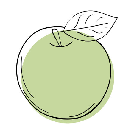 Vector line apple. Green sinmple doodle fruit.のイラスト素材