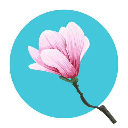 Vector sprig of blooming pink magnolia. Sketch of botanical illustration.のイラスト素材