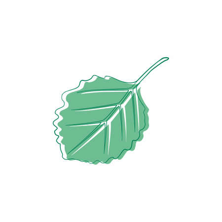 Graceful green leaves. Flat twig. Vector isolated element. Garden plant. Icon. Summer or spring designのイラスト素材