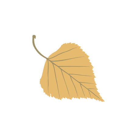 Graceful ocher leaves. Flat twig. Vector isolated element. Garden plant. Icon. Summer or spring designのイラスト素材