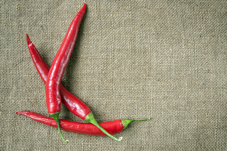 Spices for cooking, savory and spicy dishes gourmetの写真素材