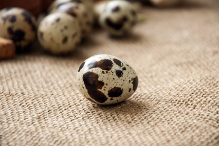 Quail eggs delicious, diet and health foodの写真素材