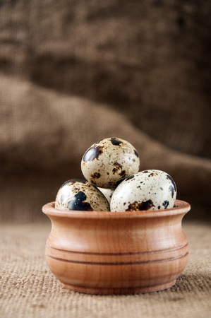 Quail eggs - useful and nutritious foodの写真素材