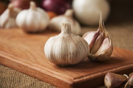 Garlic ingredients for savory dishesの写真素材
