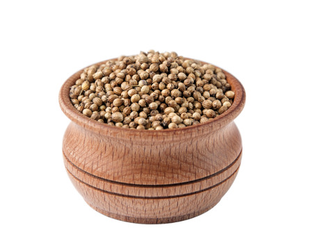 coriander is used as a spice for cookingの写真素材