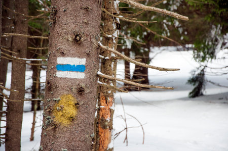 Hiking tourist  trail sign  on the tree,walking the mountain path.の写真素材