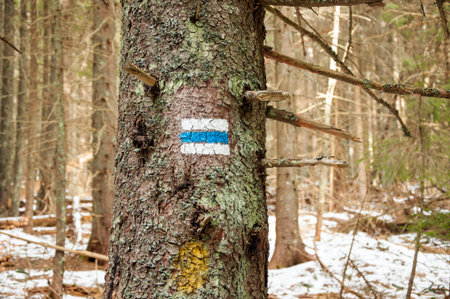 Hiking tourist  trail sign  on the tree,walking the mountain path.の写真素材
