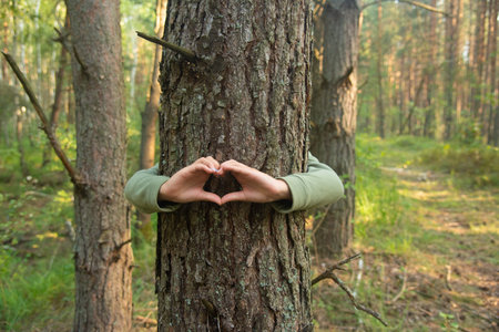 Childs hands making a heart shape on a tree trunk