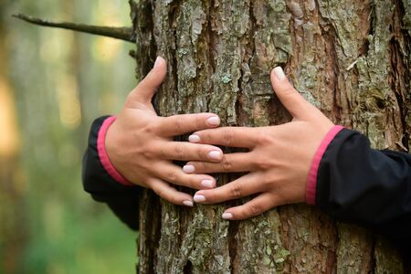 Woman hugging a big tree in a park.の写真素材