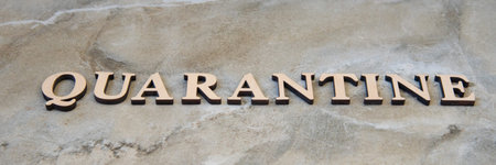 quarantine , writen wooden letters on stone background
