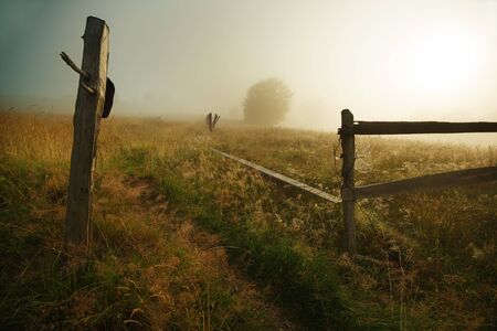 Path and wooden fence in the misty morningの写真素材