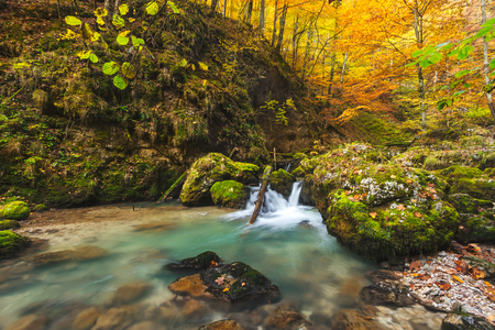 Amazing landscape photo in the autumn forestの写真素材