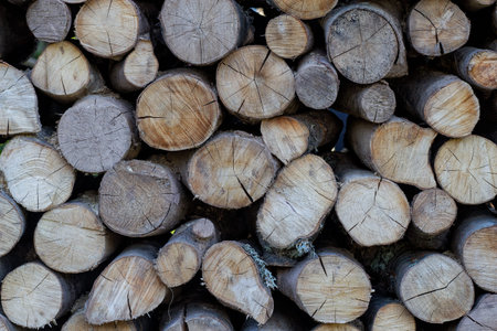 Background of dry chopped firewood