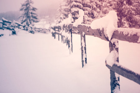 Snow covered fence in the snowfall - Transylvania