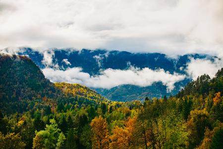 Amazing view of Slovenian forests near Bled, Slovenia.の写真素材