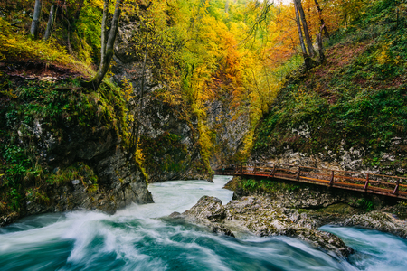 The famous Vintgar gorge Canyon with wooden pats,Bled,Triglav,Slovenia,Europeの写真素材
