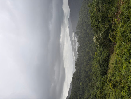 Rain clouds in the rainforest of the Annapurna Conservation Area, Nepal