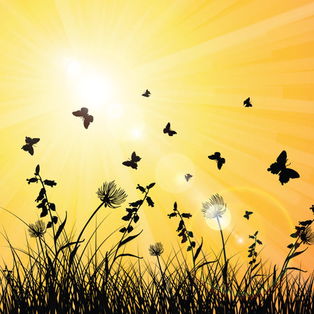 Sunshine on spring and summer with butterflies in the grassのイラスト素材