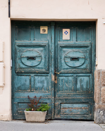 Old wooden door with a flowerpot on the street in Szentendre, Hungary
