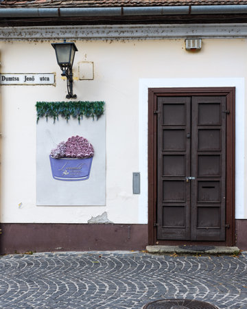 Colorful houses in the old town of Szentendre, Hungaryのeditorial素材