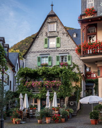 View of the historic center of Beilstein, Germanyのeditorial素材