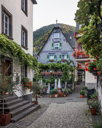 Old houses in the old town of Beilstein, Germanyのeditorial素材