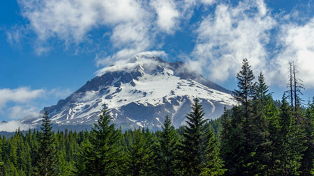 Breathtaking view of a snow-capped mountain peak surrounded by lush evergreen trees under a vibrant...
