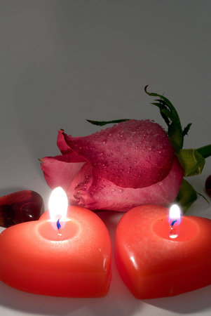 Love symbols. Flower and hearts on white background の写真素材