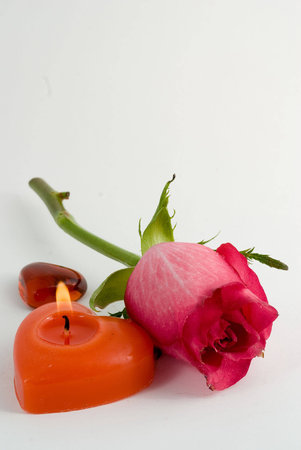 Love symbols. Flower and hearts on white background の写真素材