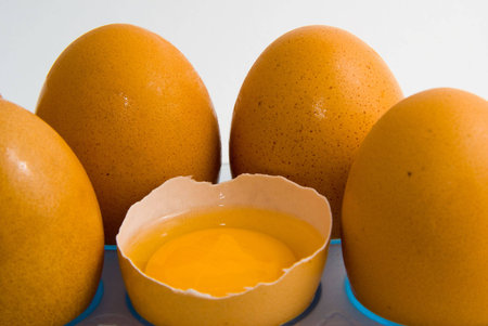 Group of eggs. One broken.の写真素材