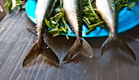blue fish freshly caught great for a healthy diet ready to be cooked with parsley and lemon oilの写真素材