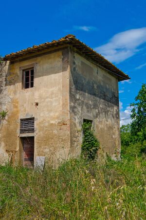 abandoned building and occupied by natural vegetationの写真素材