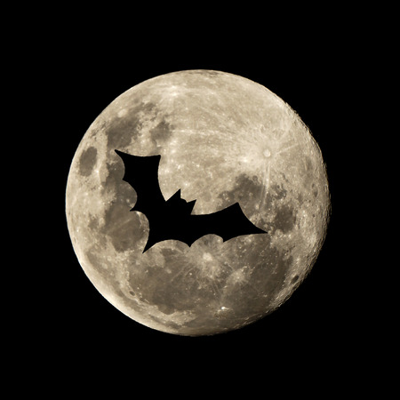 hallowen bat in the dark night is set against the silhouette of the moonの写真素材